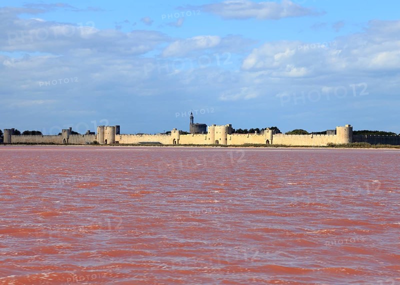 The medieval town of Aigues Mortes in the middle of the salt marshes, Gard, Petite Camargue, Provence, France, Europe