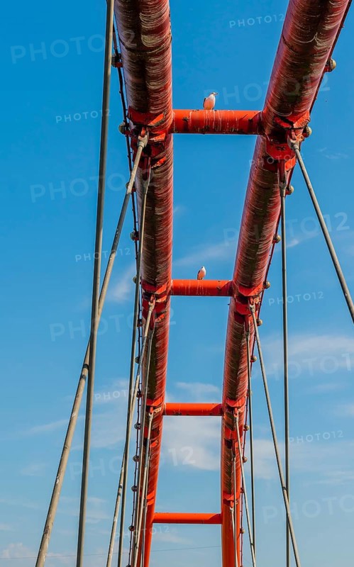 Three seagulls perched on top of dirty orange bridge with beautiful blue sky in background