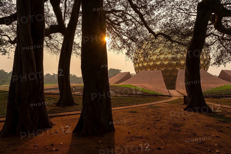 Sunrise, old banyan tree, meditation centre Matrimandir or Matri Mandir, future city Auroville, near Pondicherry or Puducherry, Tamil Nadu, India, Asia