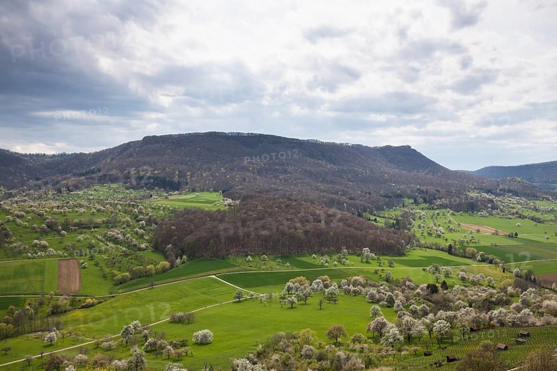 Orchard meadows near Weilheim an der Teck, Swabian Alb. View of the Breitenstein. Cherry blossom, apple blossom and pear blossom in full splendour. Spring awakening at the Limburg