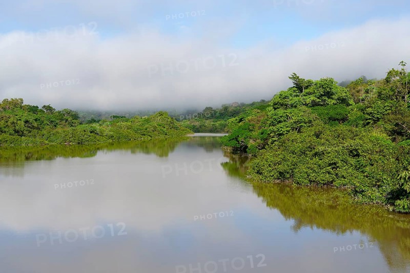 Morning fog on the Amana River, an Amazon tributary, Amazonas state, Brazil, South America