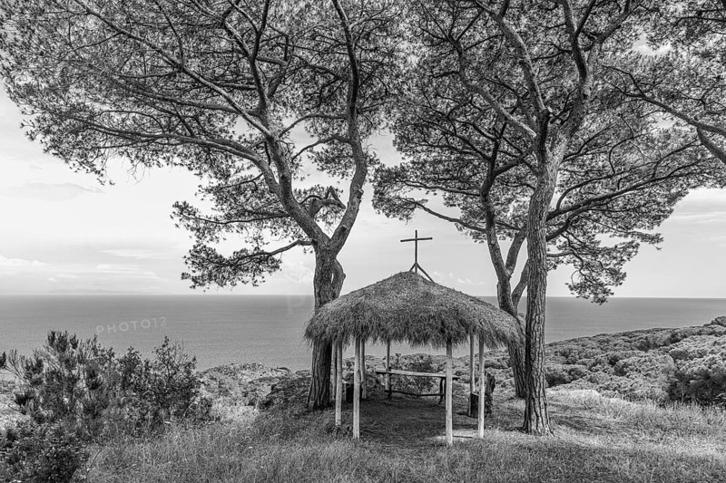 Small makeshift chapel with thatched roof under pine trees at the Tenuta delle Rippelte winery, black and white photograph, Elba, Tuscan Archipelago, Tuscany, Italy, Europe