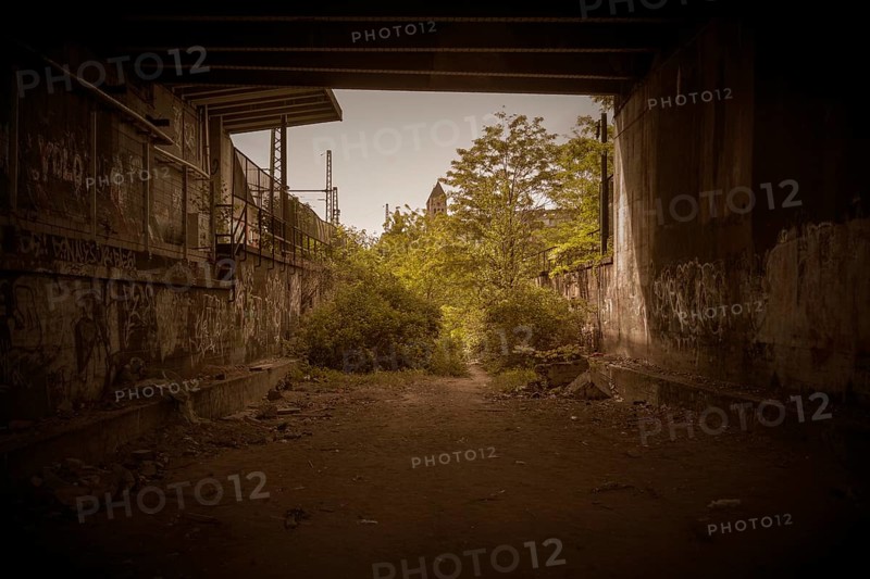 An abandoned railway line, overgrown with plants, with graffiti on the walls, former Rethel railway branch, Lost Place, Flingern, Duesseldorf, North Rhine-Westphalia, Germany, Europe