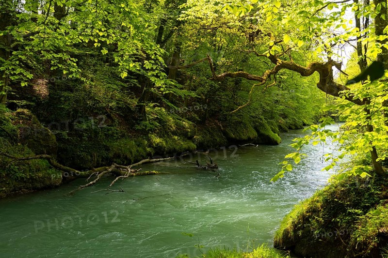 Erlauf, Erlauf Gorge, Purgstall an der Erlauf, Lower Austria