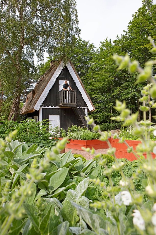 Herb garden at Sofiero Palace & Gardens, Helsingborg, Skane laen, Sweden, Europe