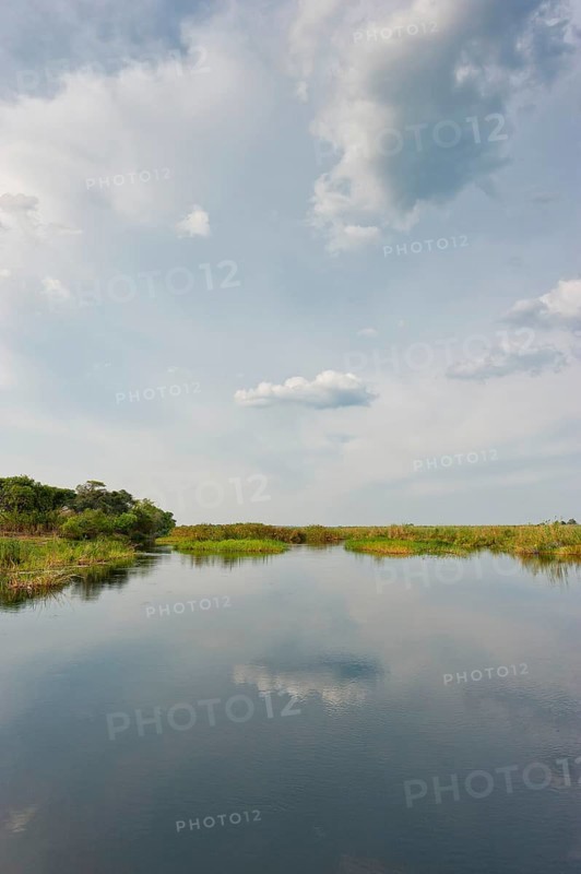 River cruise in the Okavango Delta, reeds, clouds, nature, natural landscape, landscape, nobody, puristic, reflection, Kwando River, BwaBwata National Park, Namibia, Africa