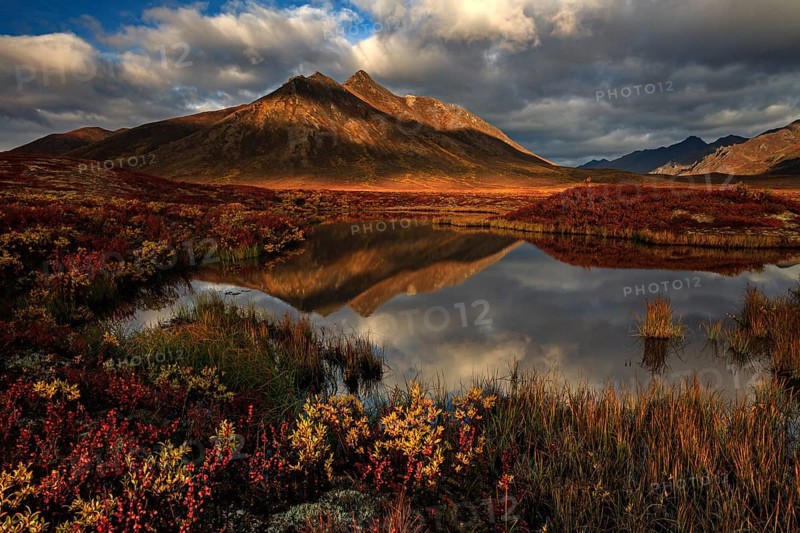 Reflection of mountains in a small lake in morning light, clouds, tundra, autumn, Dempster Highway, Ogilvie Mountains, Yukon Territory, Canada, North America