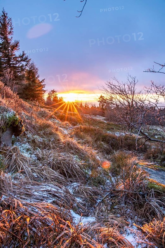 Landscape on the Grosser Feldberg, Taunus volcanic region. A cloudy, sunny winter day, meadows, hills, snow and forests with a view of the winter sunset. Hesse, Germany, Europe