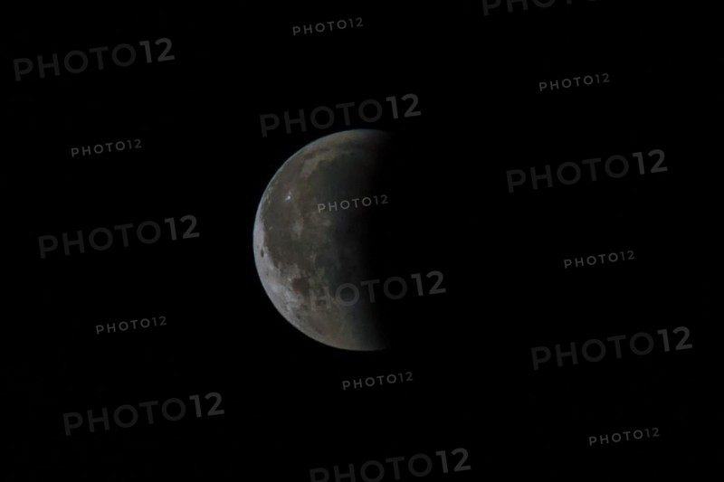 Half moon in the night sky, clearly visible moon craters and grey tint, Haan, North Rhine-Westphalia, Germany, Europe