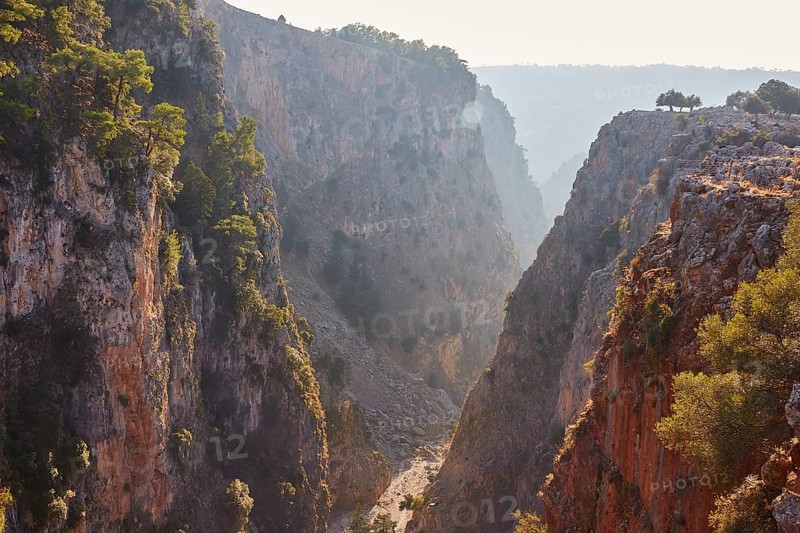 Deep view into a wooded gorge penetrated by gentle sunbeams, Aradena Gorge, Aradena, Sfakia, Crete, Greece, Europe