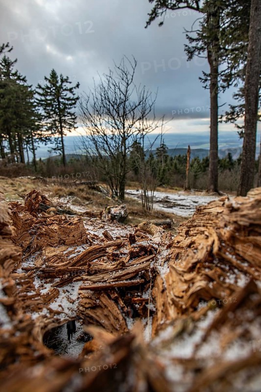 Landscape on the Grosser Feldberg, Taunus volcanic region. A cloudy, sunny winter day, meadows, hills, snow and forests with a view of the winter sunset. Hesse, Germany, Europe