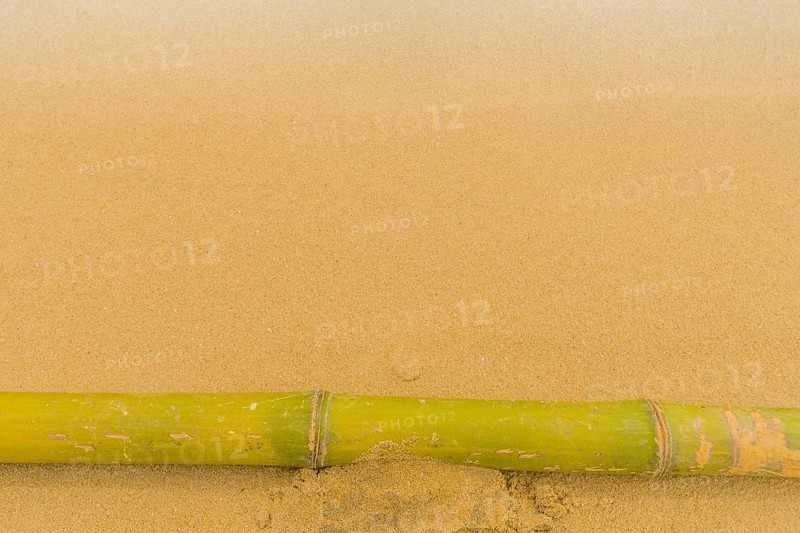 Solitary bamboo pole laying on windswept beach with streaks of sand being blown across the ground