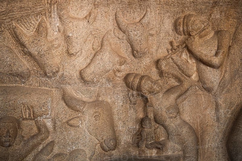 Bas-relief, detail, UNESCO World Heritage Site, Mahabalipuram or Mamallapuram, Tamil Nadu, India, Asia