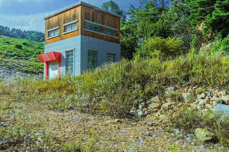 Square house with red awning over garage door in wooded area surrounded by green trees and flowers