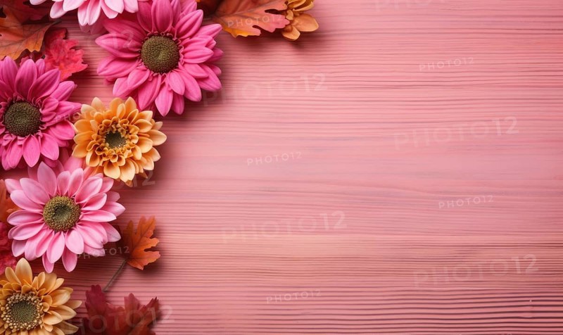Warm-toned pink gerbera flowers arranged on a wooden background with autumn vibes AI generated