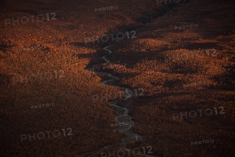 Abisko National Park in autumn. River bend in the forest