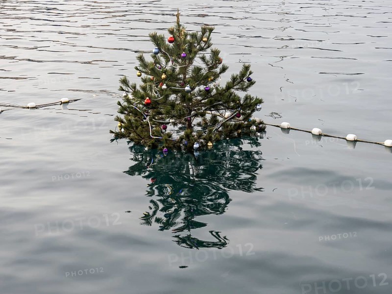 Christmas tree in the harbour basin, harbour of Mali Losinj, island of Losinj, Kvarner Gulf Bay, Adriatic Sea, Croatia, Europe