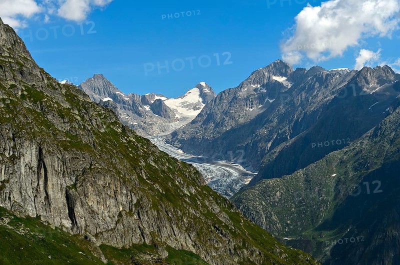 Narrow mountain valley with Fiescher Glacier and Finsteraarhorn, Bernese Alps, Valais, Switzerland, Europe