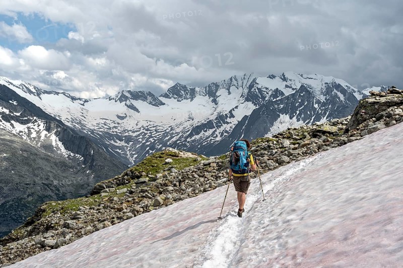 Mountaineer on hiking trail with snow, Berliner Hoehenweg, mountain landscape with glaciated peaks Hochfeiler and Hoher Weisszint, Zillertal Alps, Tyrol, Austria, Europe