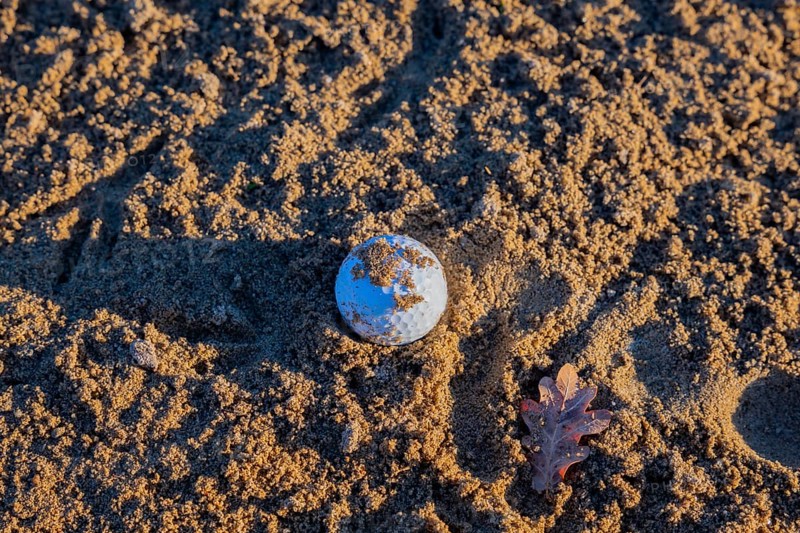 Golf Ball in Sand Trap on Golf Course and a Leaf in a Sunny Day in Switzerland