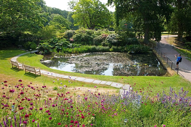 Sofiero Palace & Gardens, Helsingborg, Skane laen province, Sweden, Europe