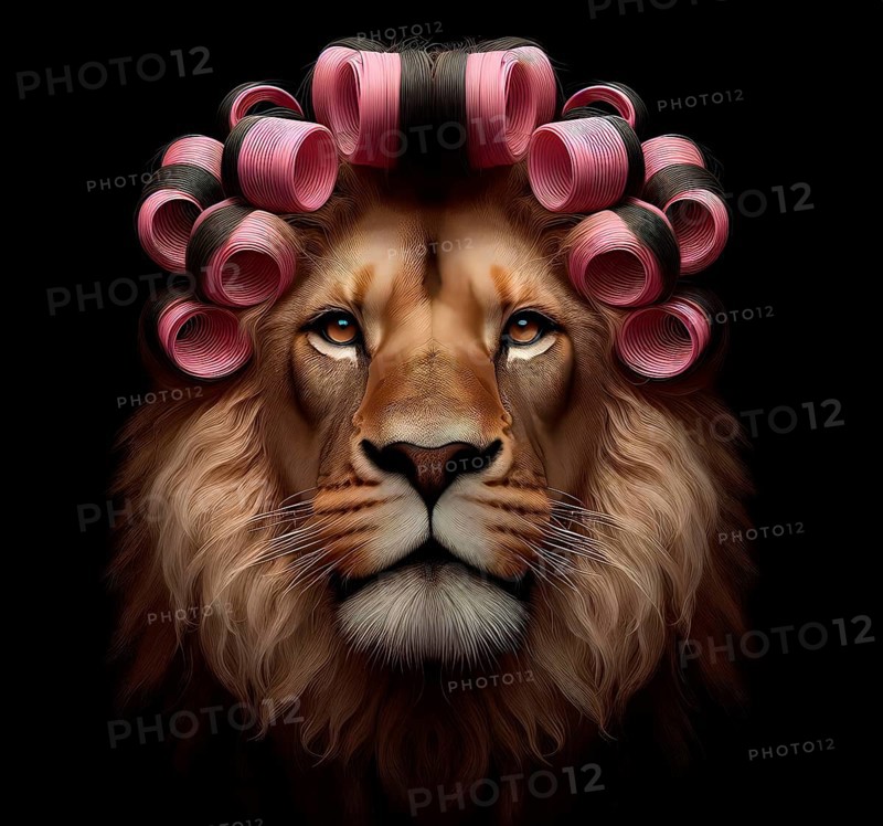 Maned lion styled with curlers, AI generated, AI generated