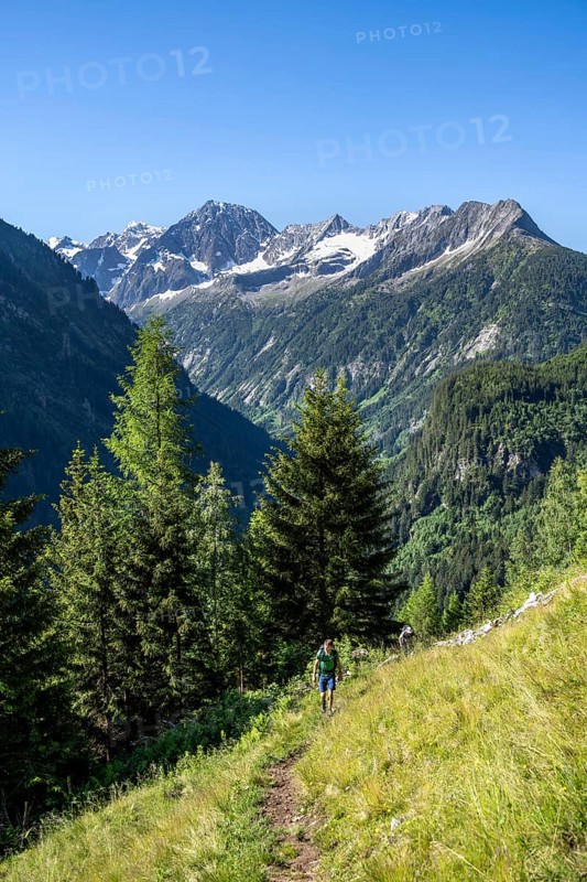 Mountaineers on a hiking trail, rocky mountain peaks Grosser Greiner and Kleiner Greiner with snow, Zillertal Alps, Tyrol, Austria, Europe