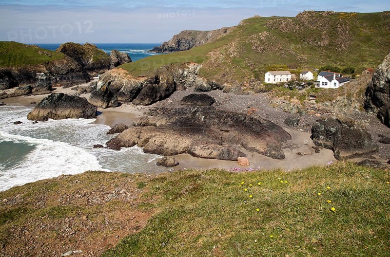 Coastal scenery near Kynance Cove, Lizard Peninsula, Cornwall, England, UK
