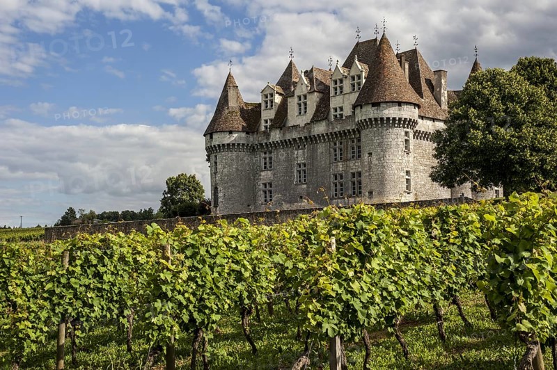 The castle Chateau de Monbazillac and vineyard, Dordogne, Aquitaine, France, Europe