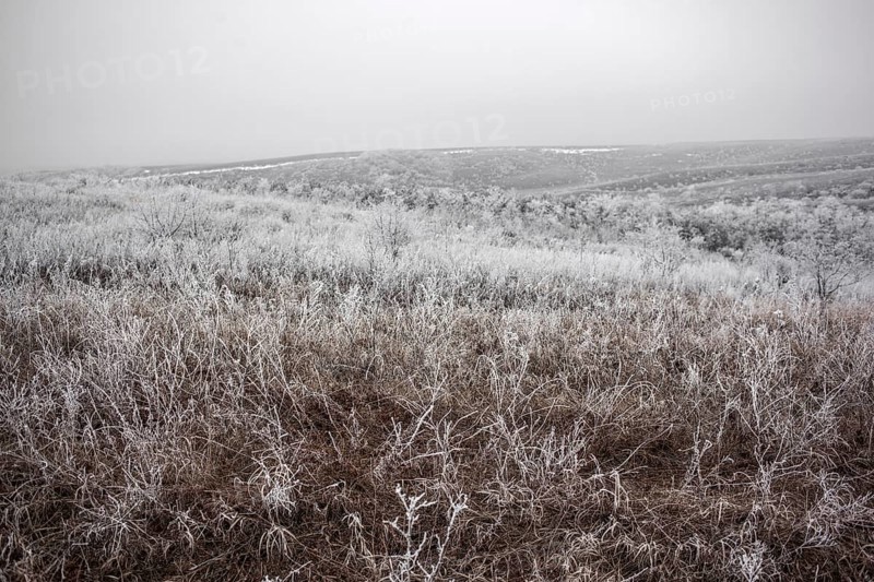 Hoarfrost, winter landscape, front near Debaltseve, Donbas, Ukraine, Europe
