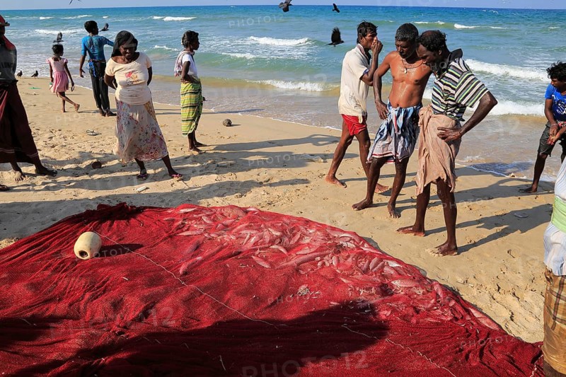 Traditional fishing hauling nets Nilavelli beach, near Trincomalee, Eastern province, Sri Lanka, Asia