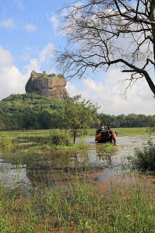 Elephant ride in lake by rock palace, Sigiriya, Central Province, Sri Lanka, Asia