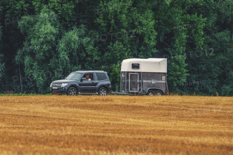 Off-road vehicle with horse trailer on an agricultural field, Osterholz, Wuppertal, North Rhine-Westphalia, Germany, Europe