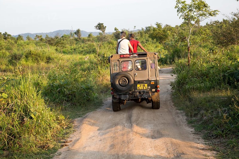 Elephant safari in Hurulu Eco Park biosphere reserve, Habarana, Anuradhapura District, Sri Lanka, Asia
