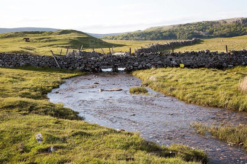 Stream flowing over limestone rock, Malham, Yorkshire Dales national park, England, UK
