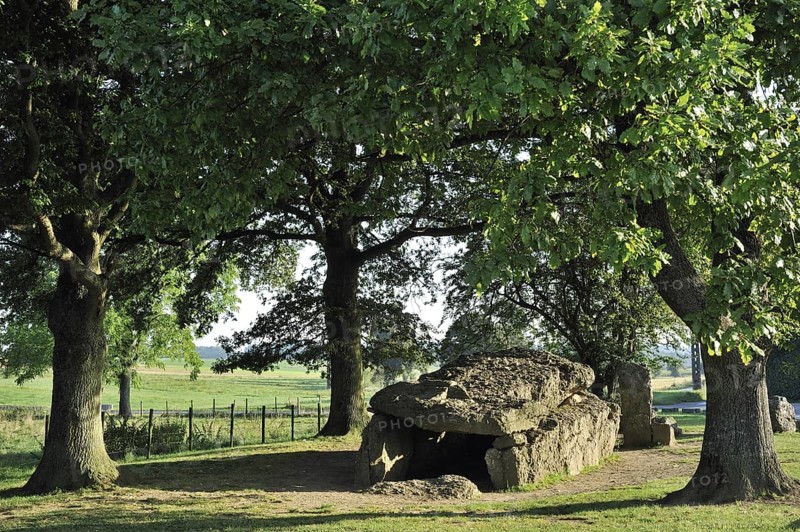 Megalithic Grand Dolmen de Weris and menhir made of conglomerate rock, Belgian Ardennes, Luxembourg, Belgium, Europe