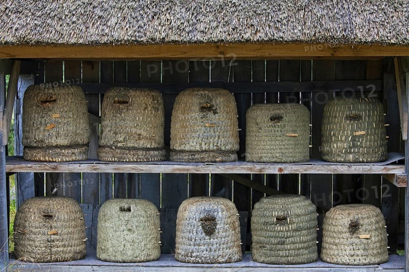 Bee hives, beehives, skeps in rustic shelter of apiary in the Lueneburg Heath, Lunenburg Heath, Lower Saxony, Germany, Europe