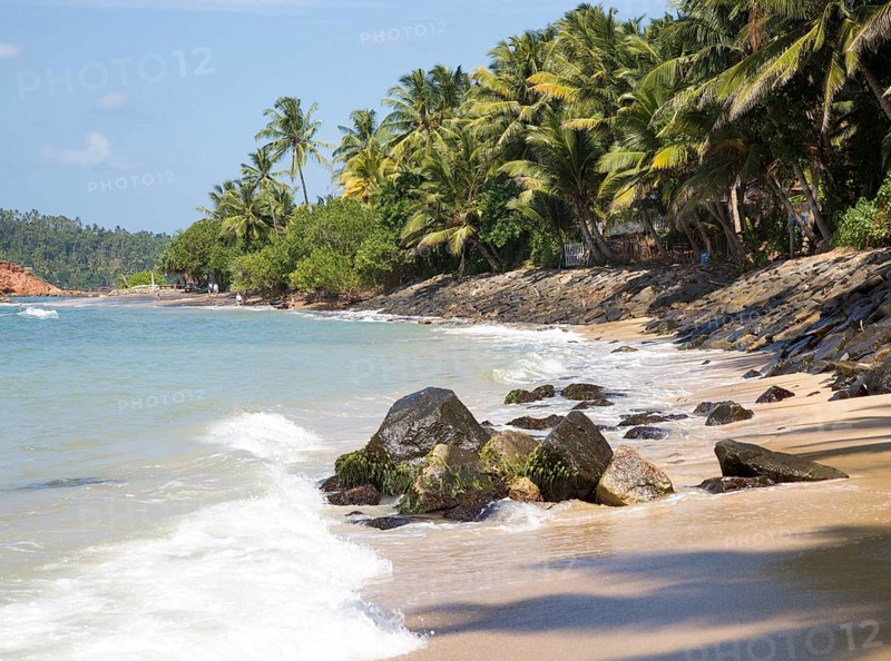 Tropical landscape of palm trees and sandy beach, Mirissa, Sri Lanka, Asia