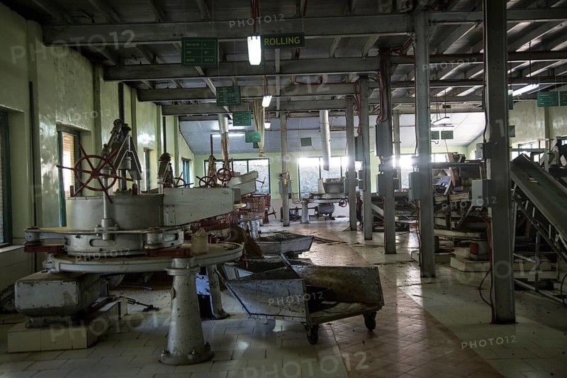 Mackwoods tea estate factory, Nuwara Eliya, Central Province, Sri Lanka, Asia