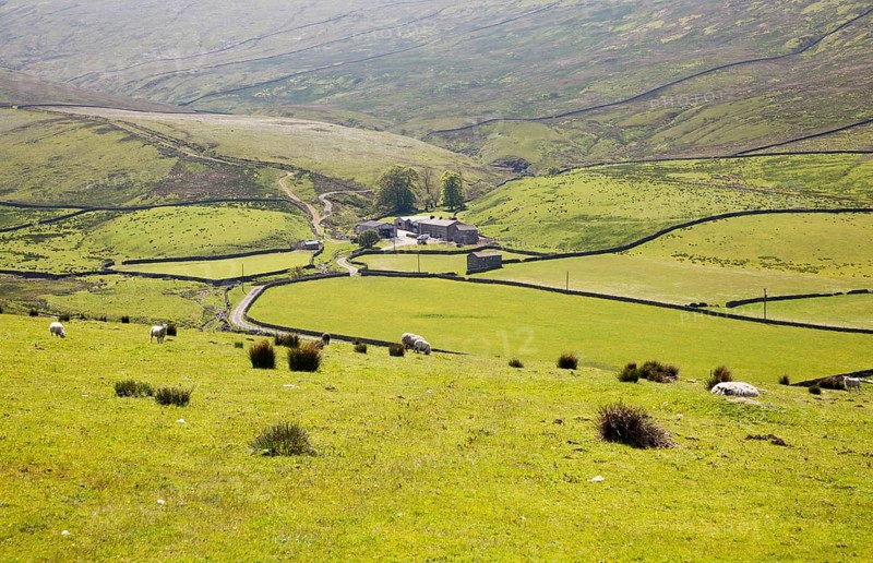 Farmhouse at Duerley Bottom, Sleddale, Yorkshire Dales national park, England, UK