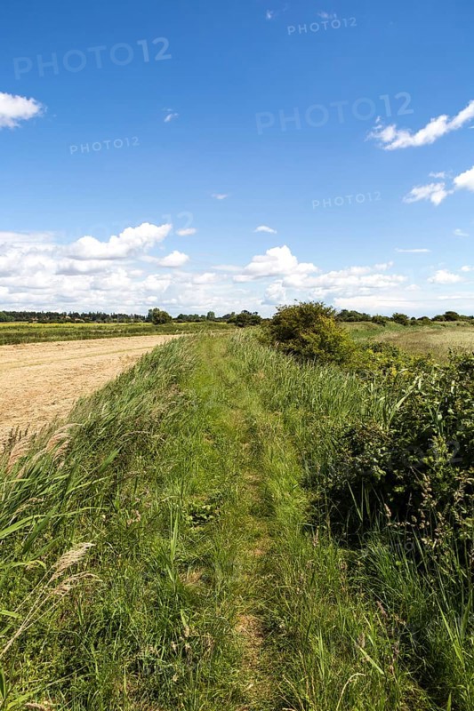 Footpath on flood defence dyke in marshland, Oxley Marshes, Hollesley, Suffolk, England, UK