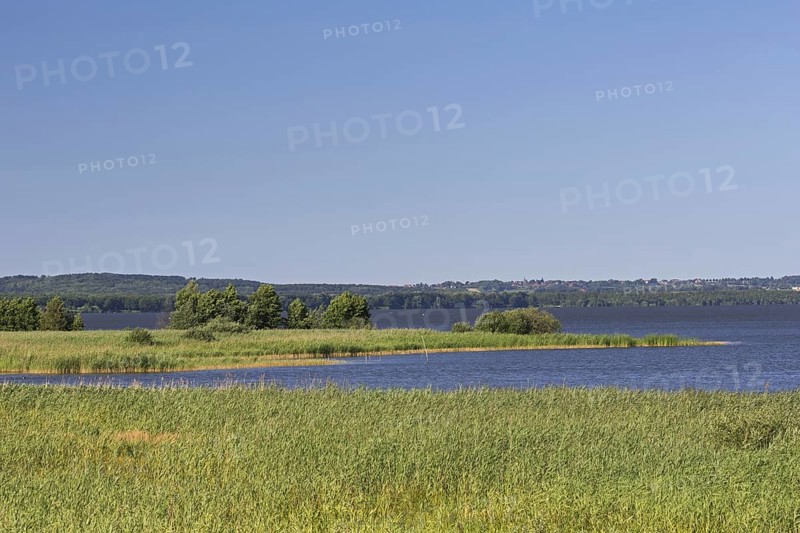 Steinhuder Meer, Lake Steinhude in the Hannoversche Moorgeest, Hanoverian Moor Geest in summer, Lower Saxony, Germany, Europe