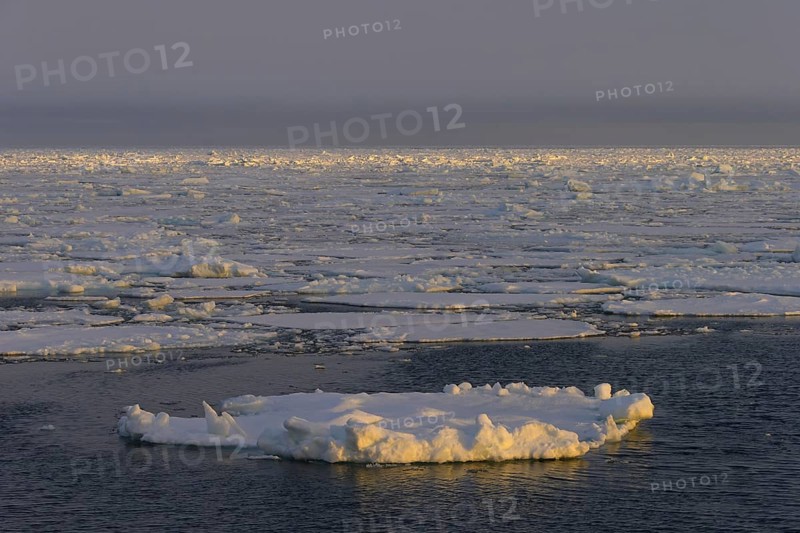 Pack ice in the Hinlopenstretet, Hinlopenstreet, strait between Spitsbergen and Nordaustlandet in Svalbard, Norway, Europe