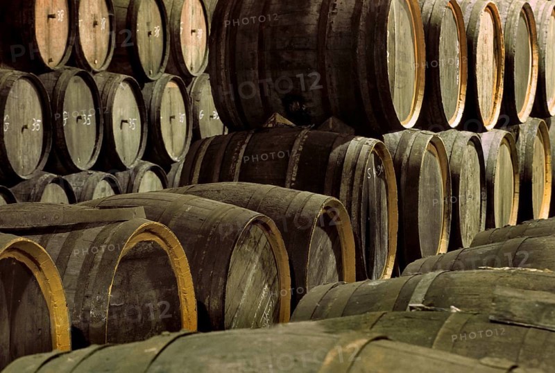 Wooden barrels in storage cellar of brewery with the Belgian beer Geuze, Belgium, Europe