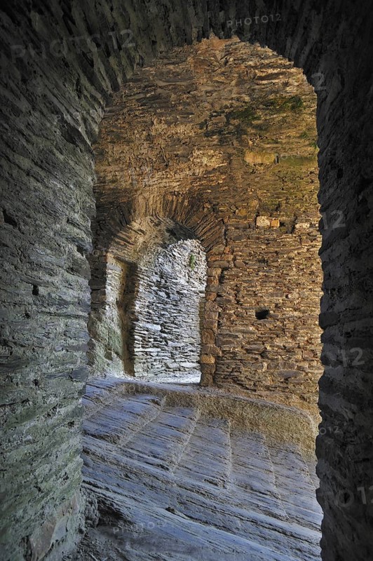 Medieval castle in La Roche-en-Ardenne, Ardennes, Belgium, Europe