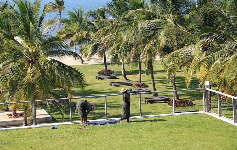 Amaya Beach Resort and Spa hotel, Pasikudah Bay, Eastern Province, Sri Lanka, Asia staff tending sedum grass roof garden, Asia
