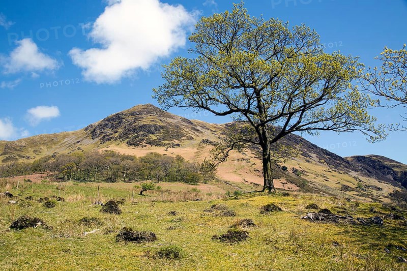 Landscape view of High Snockrigg Fell hill Buttermere, Cumbria, England, UK