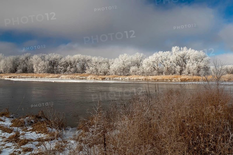 Kearney, Nebraska, Frost on trees along the Platte River on a January day