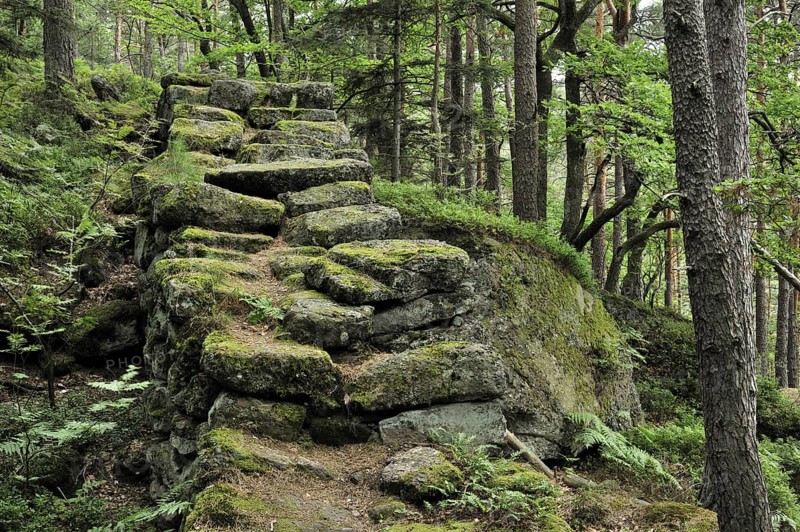 The Pagan Wall, Mur Paien in forest near Mont Sainte-Odile, Vosges, Alsace, France, Europe