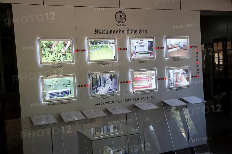 Mackwoods tea estate factory, Nuwara Eliya, Central Province, Sri Lanka, Asia